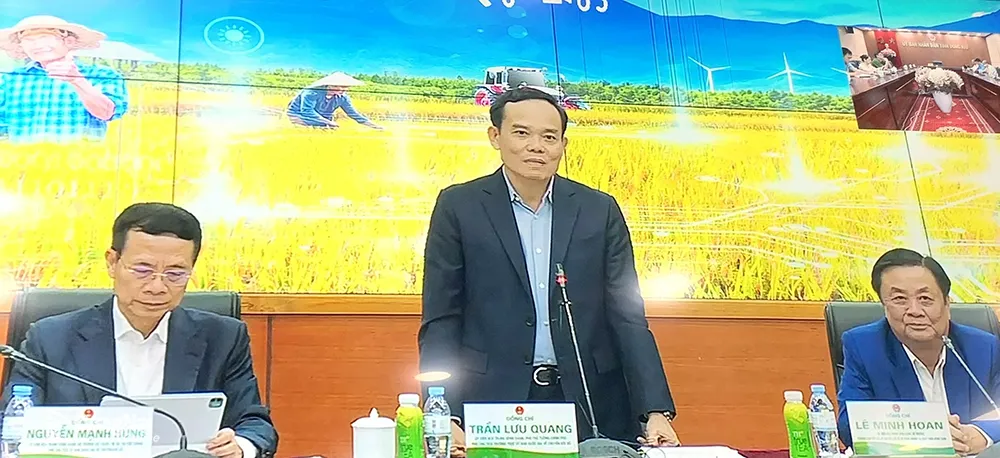 Phó Thủ tướng Chính phủ Trần Lưu Quang kết luận tại hội nghị. Ảnh: B.Nguyên