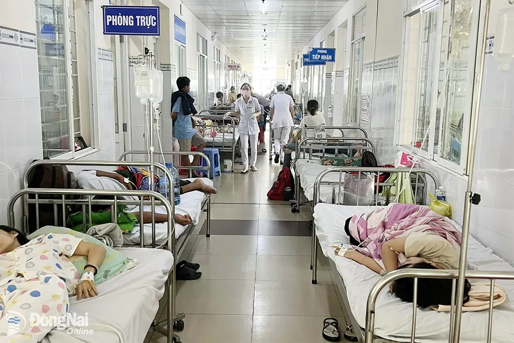 Vụ nghi ngộ độc tại thành phố Long Khánh đã có 209 bệnh nhân nhập viện. Ảnh: ĐVCC
