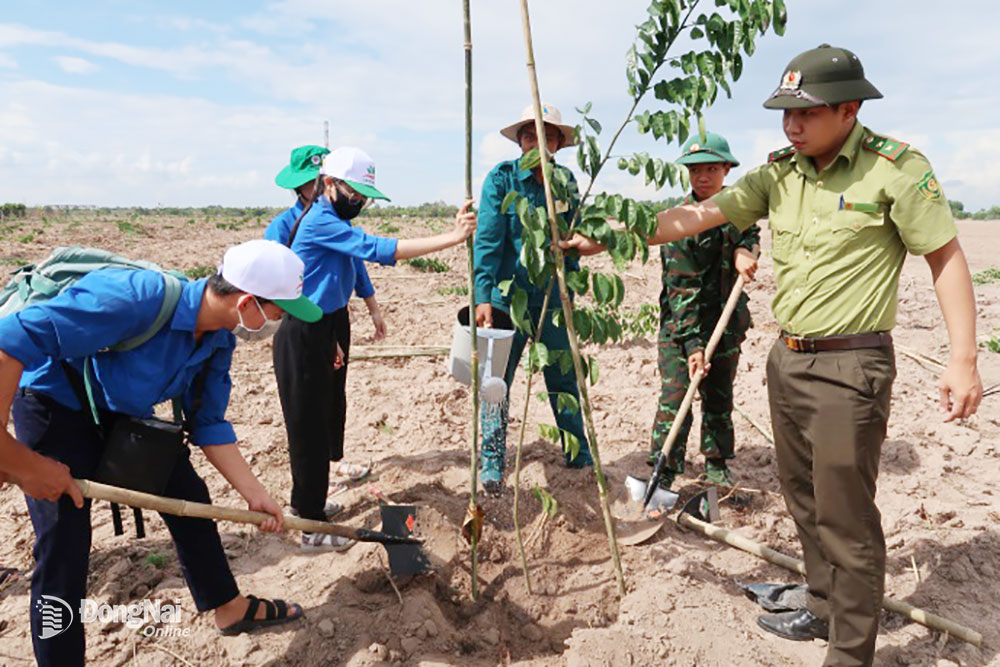 Hoạt động trồng cây tại Lễ phát động “Tết trồng cây đời đời nhớ ơn Bác Hồ” và hưởng ứng Chương trình Trồng một tỷ cây xanh “Vì một Việt Nam xanh” năm 2024 tổ chức tại huyện Nhơn Trạch. Ảnh: K.L