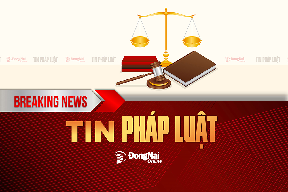 Dùng giấy tờ đất giả để thế chấp vay tiền rồi chiếm đoạt