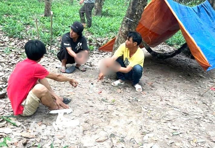 Các đối tượng tụ tập sử dụng ma túy trong lô cao su tại xã Long Đức bị công an phát hiện. Ảnh: Công an tỉnh