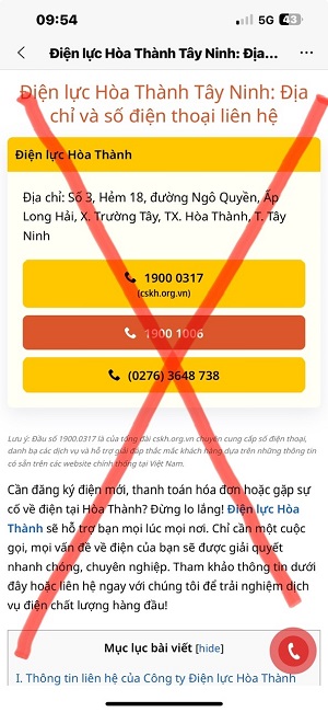  Trang web giả mạo ngành điện miền Nam, bên trên ghi số điện thoại 1900 0317 là giả mạo