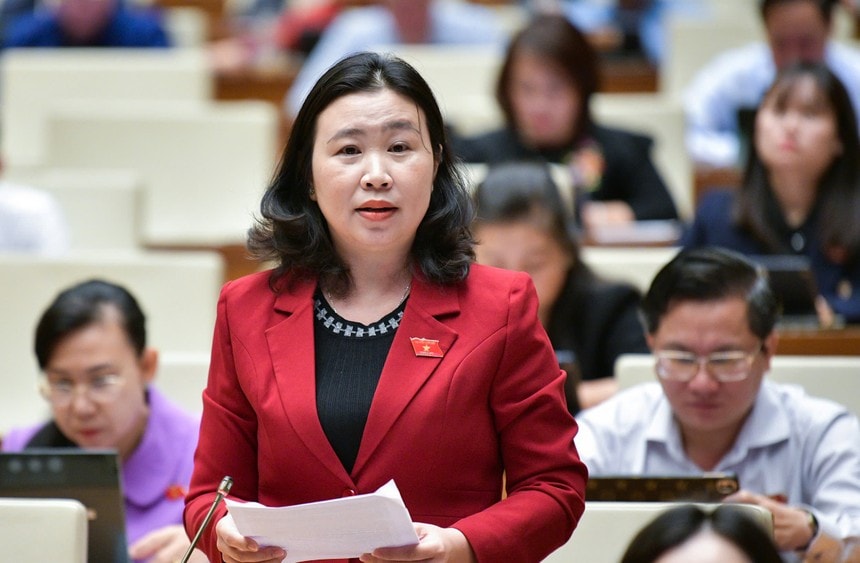 Phó Trưởng đoàn chuyên trách Đoàn ĐBQH tỉnh Long An Lê Thị Song An.