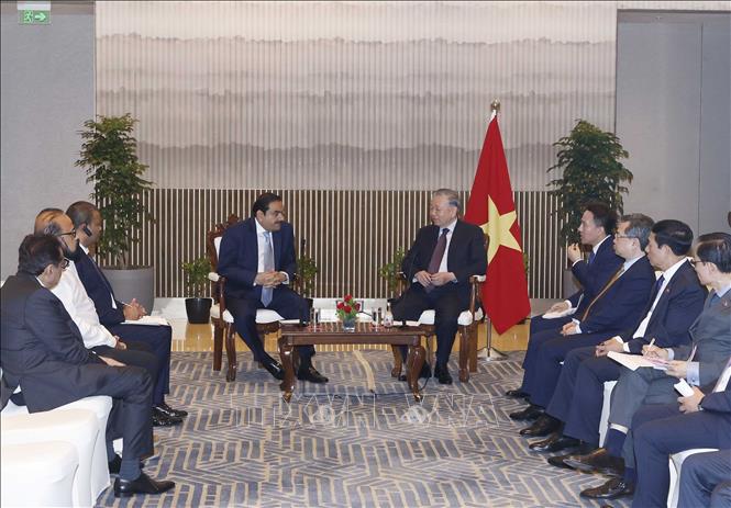 Tổng Bí thư, Chủ tịch nước Tô Lâm tiếp Chủ tịch Tập đoàn Adani Gautam Adani. Ảnh: Thống Nhất/TTXVN
