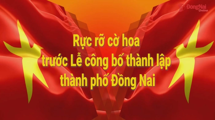 [Video] Rực rỡ cờ hoa trước Lễ công bố thành lập Thành phố Đồng Nai