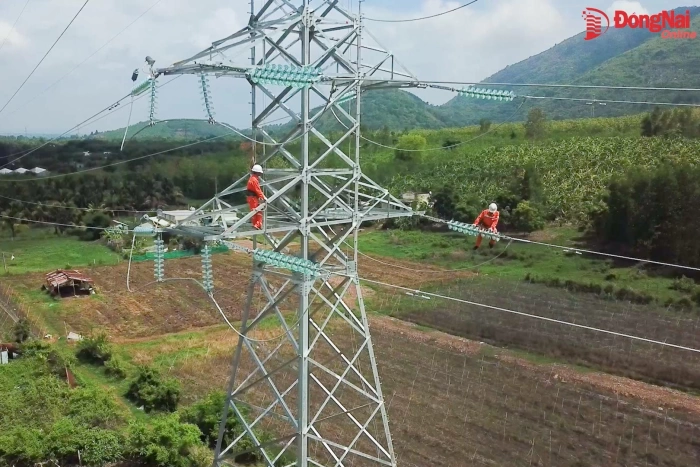 [Video] Điện lực Đồng Nai hoàn thành thêm một công trình 110kV quan trọng