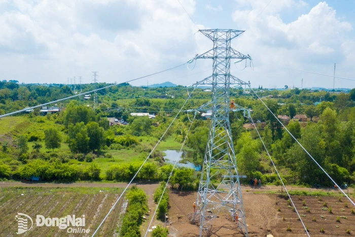 Điện lực Đồng Nai đưa vào vận hành thêm một công trình 110kV quan trọng