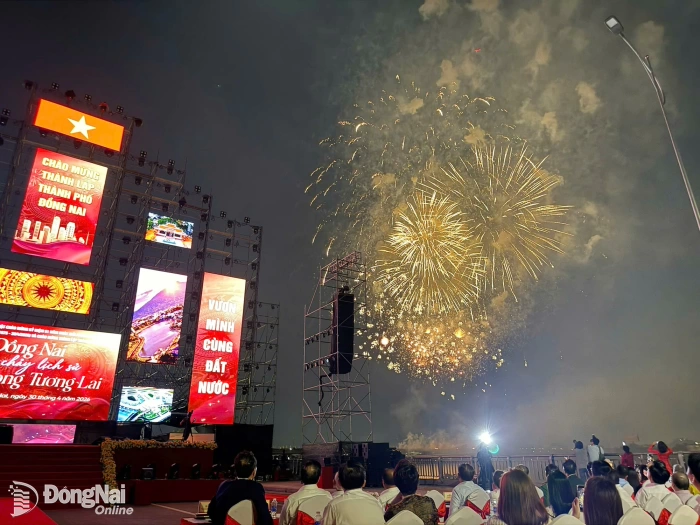 Spectacular high-altitude fireworks light up the night as Dong Nai becomes a city