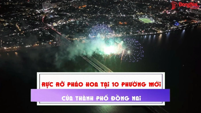 [Video] Rực rỡ pháo hoa tại 10 phường mới của thành phố Đồng Nai