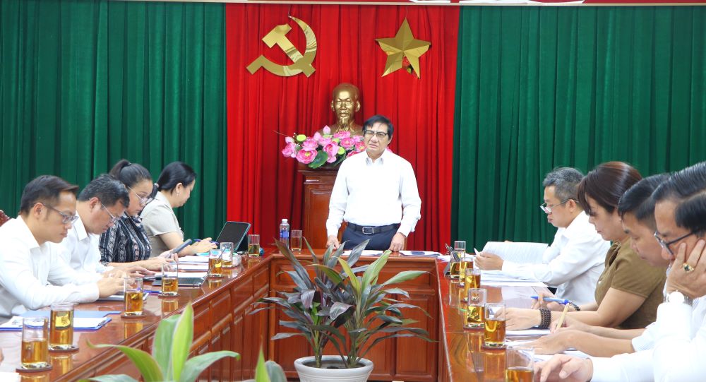 Phó chủ tịch UBND tỉnh Nguyễn Sơn Hùng phát biểu chỉ đạo tại buổi làm việc. Ảnh: Ngọc Liên