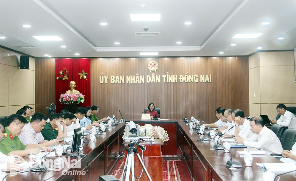 Phó chủ tịch UBND tỉnh Nguyễn Thị Hoàng tham dự hội nghị và chủ trì tại điểm cầu Đồng Nai. Ảnh: Hải Quân 