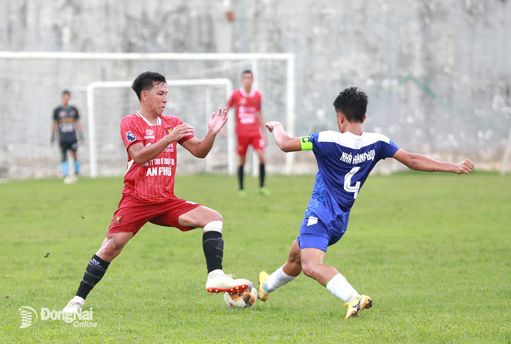 Khám Phá Tiểu Sử Cầu Thủ Michel Platini - Huyền Thoại Bóng Đá Pháp