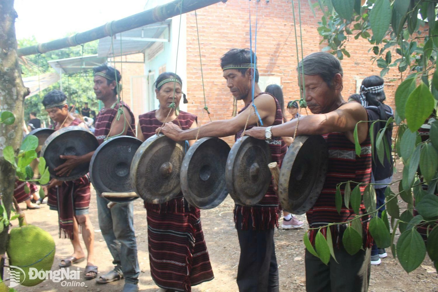 Đồng bào Chơro ở thành phố Long Khánh biểu diễn cồng chiêng trong Lễ hội Sayangva (cúng thần lúa). Ảnh: Ly Na
