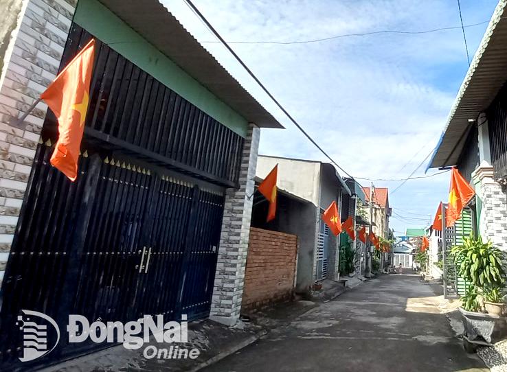 Đồng loạt treo cờ Đảng, cờ Tổ quốc chào mừng tỉnh Đồng Nai mới