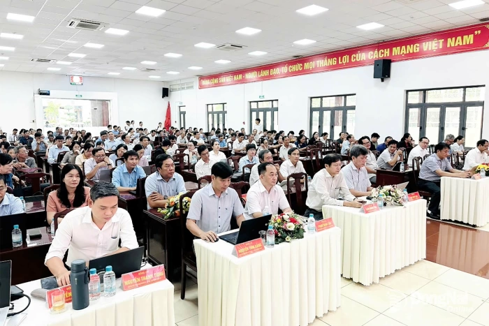 Nhịp sống địa phương trưa 24-6-2026