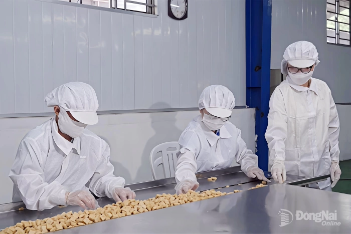 Sản xuất sạch hơn hướng tới kinh tế tuần hoàn