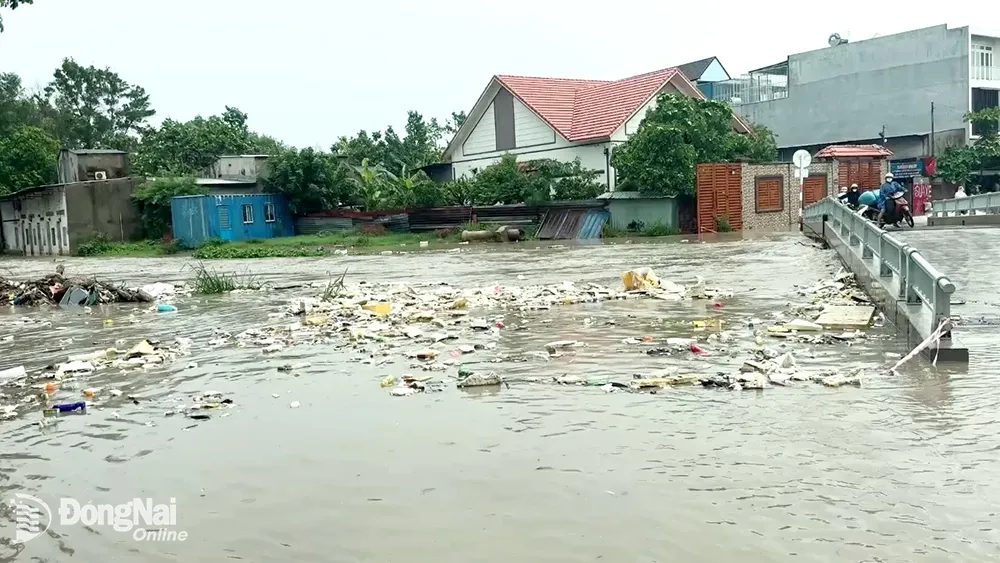 Khu vực cầu số 1 bắc qua suối Bà Lúa, phường Long Bình Tân bị ngập trong trận mưa đầu mùa. Ảnh: Khắc Thiết 