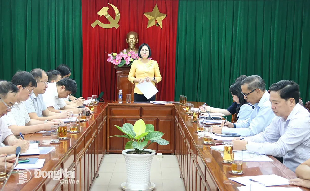 Phó chủ tịch UBND tỉnh Nguyễn Thị Hoàng phát biểu chỉ đạo. Ảnh: Văn Gia
