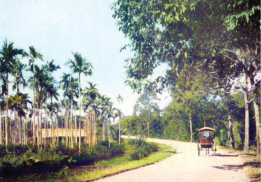 Con đường quốc lộ 1 đi qua tỉnh Biên Hòa.