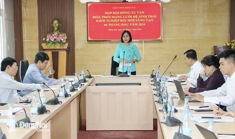 Phó chủ tịch UBND tỉnh Nguyễn Thị Hoàng kết luận buổi họp. Ảnh: Văn Gia