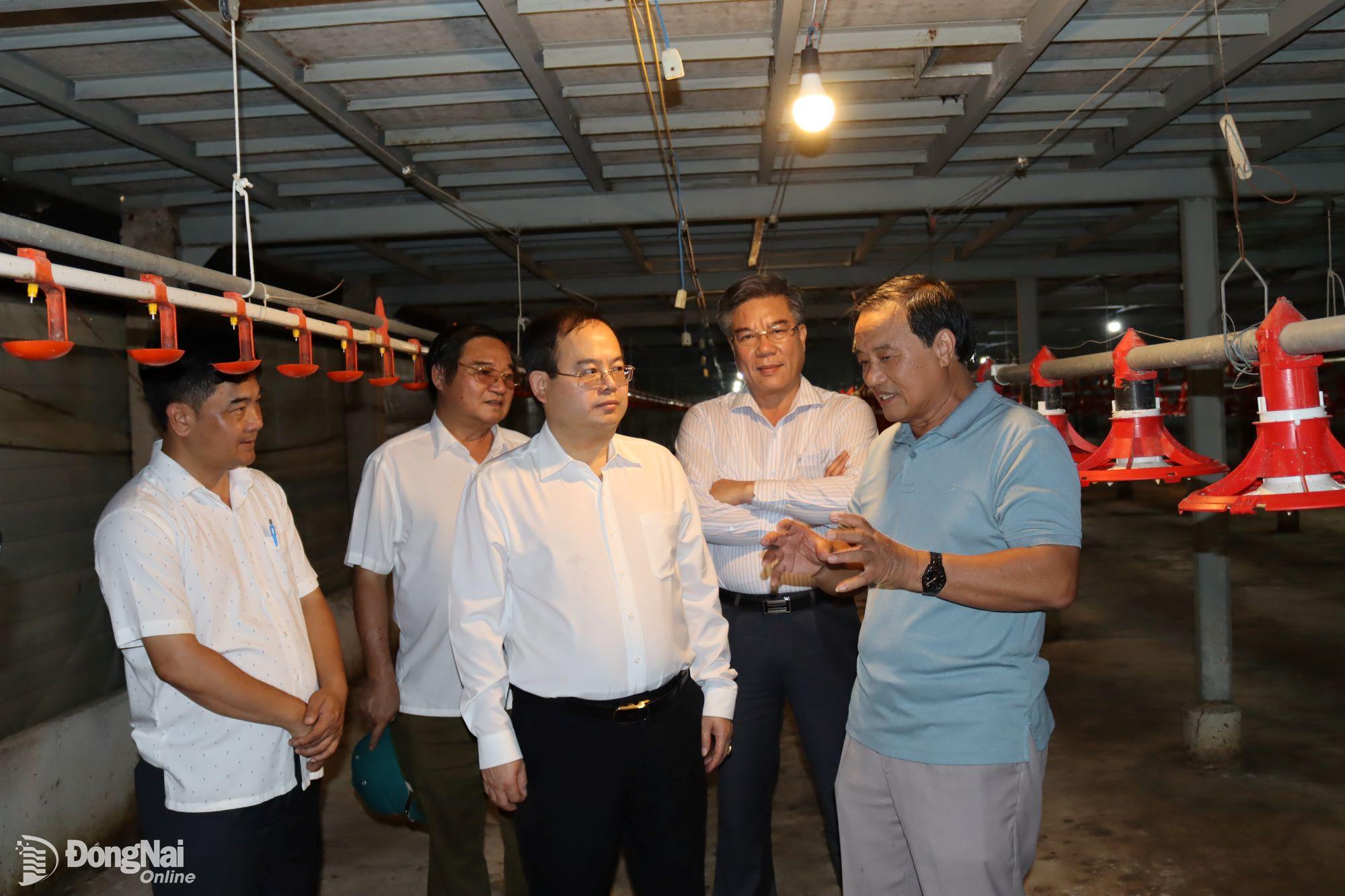 Phó bí thư Tỉnh ủy Quản Minh Cường kiểm tra cơ sở chăn nuôi gà xuất khẩu tại xã Tân Hiệp. Ảnh: Hoàng Lộc