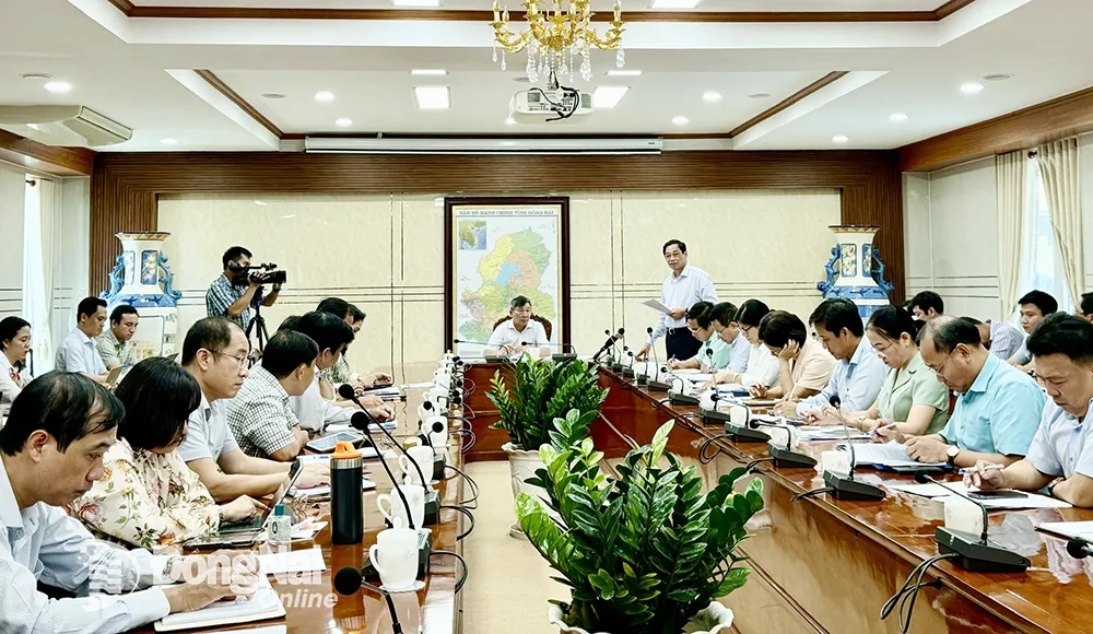 Phó chủ tịch UBND tỉnh Võ Văn Phi phát biểu ý kiến tại buổi làm việc. Ảnh: B.Nguyên