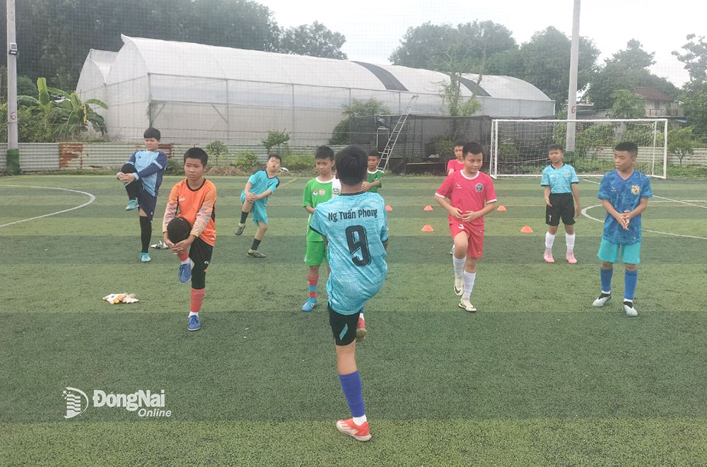 180 học sinh Đồng Nai tranh tài tại Hội khỏe Phù Đổng toàn quốc lần thứ X ở Hải Phòng