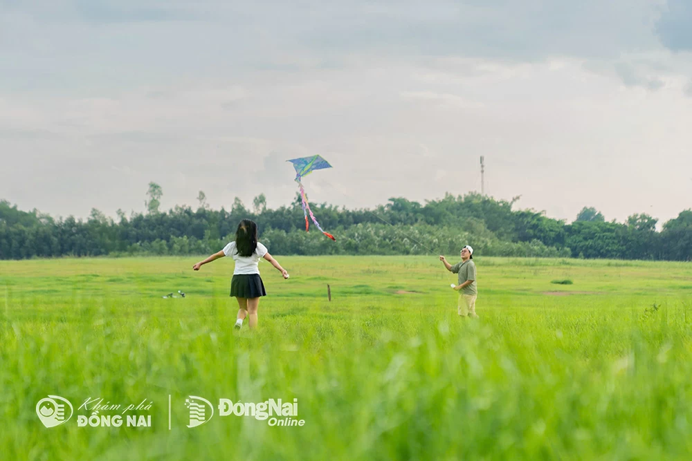 Những thảo nguyên rộng lớn mùa nước cạn là điểm thư giãn của nhiều du khách tới Đồng Nai