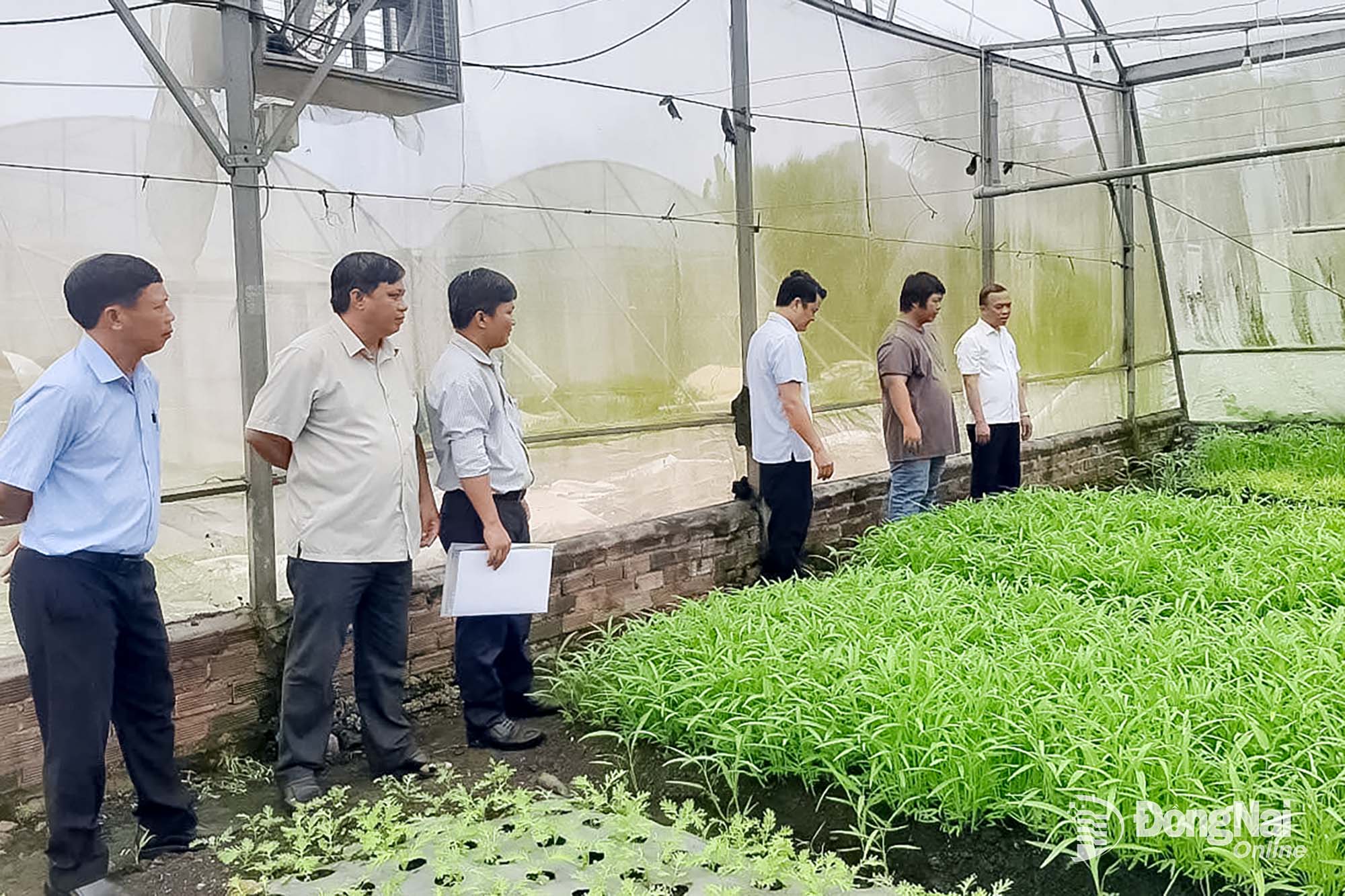 Chú thích: Lãnh đạo xã Gia Kiệm tổ chức khảo sát thực tế tại các mô hình sản xuất nông nghiệp trọng điểm trên địa bàn. Ảnh: CTV
