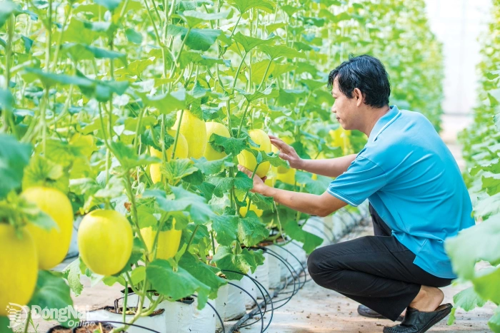 Phê duyệt danh sách 6 xã phấn đấu đạt chuẩn nông thôn mới năm 2026