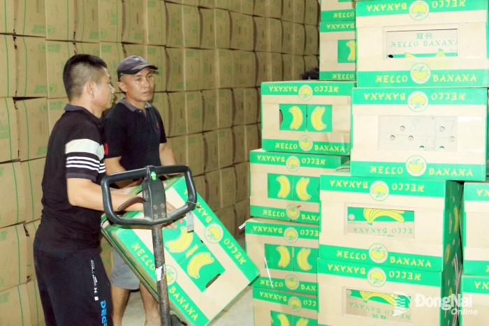 Việt Nam phấn đấu có 45 ngàn hợp tác xã vào năm 2030