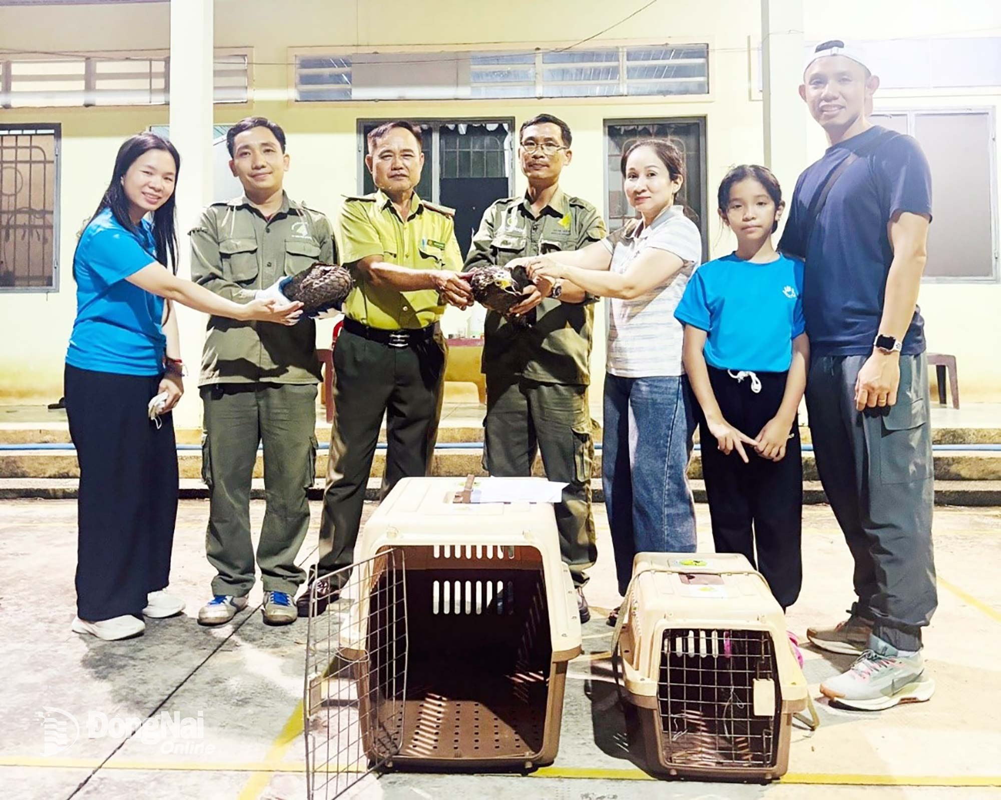 Cá thể tê tê quý hiếm và cá thể diều hoa Miến Điện được bàn giao cho Đội Kiểm lâm cơ động số 2 thuộc Chi cục Kiểm lâm thành phố Đồng Nai. Ảnh: Nhã Trâm