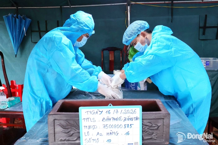 Tri ân bằng những hành động thiết thực