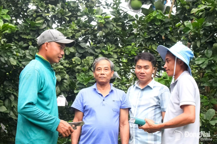 Quy định mới về xã hội hóa trong hoạt động khuyến nông