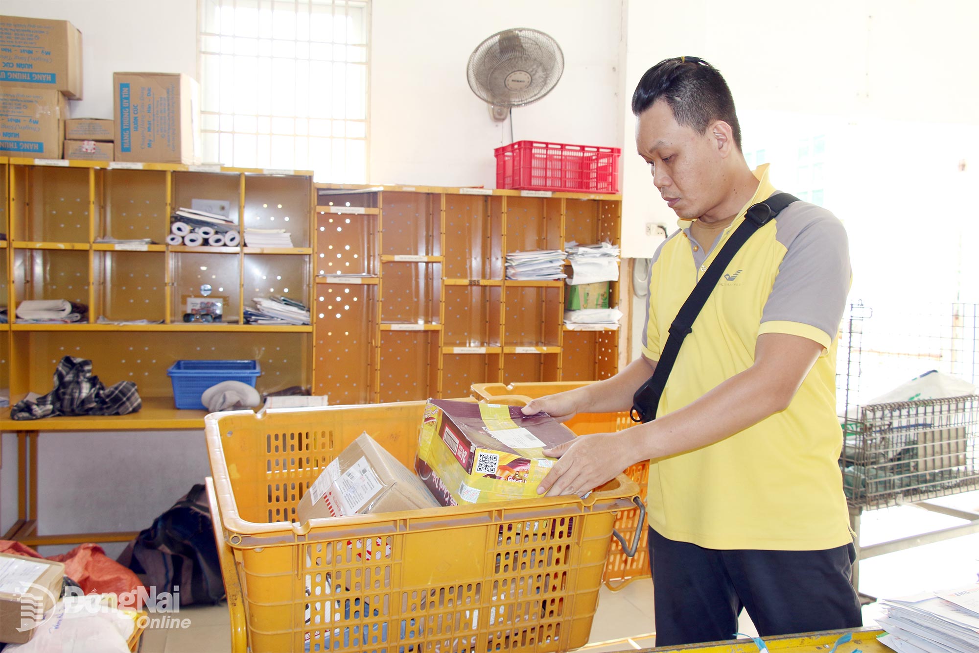 Employees of Dong Nai City Post Office sort and classify parcels and mail items for delivery to recipients.

