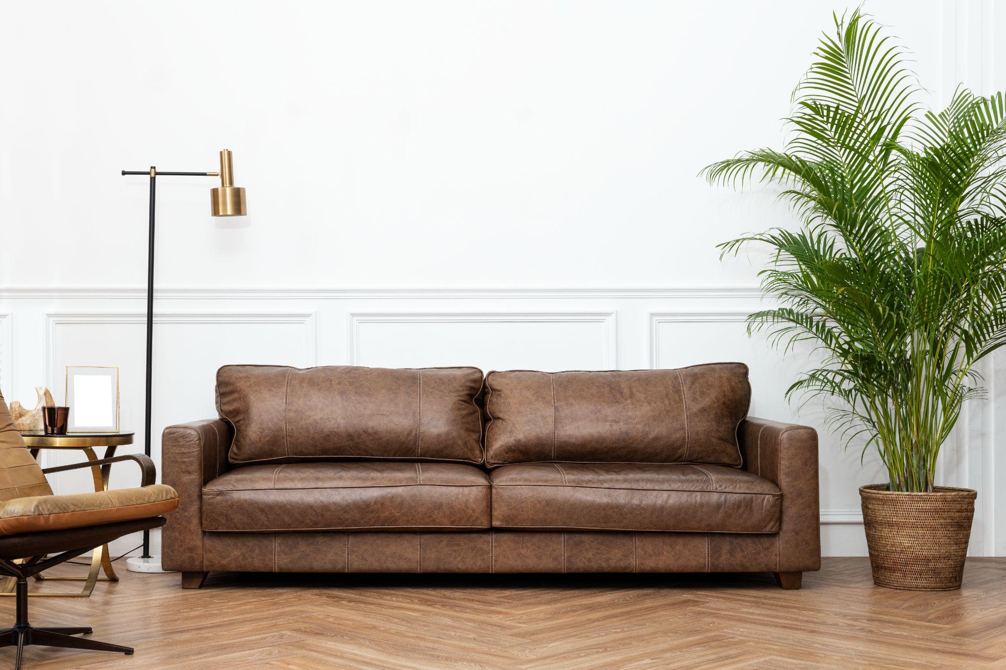 Các mẫu sofa gỗ hiện đại phù hợp với nhiều không gian phòng khách. Nguồn: Freepik