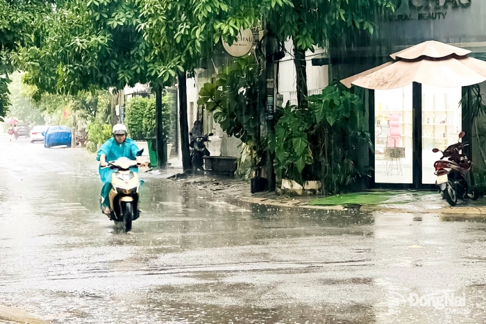 Đồng Nai: Cảnh báo dông, lốc, sét và mưa lớn