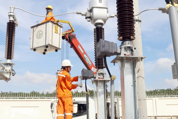 Đồng Nai tăng cường quản lý, bảo vệ công trình điện lực, giảm thiểu tai nạn điện