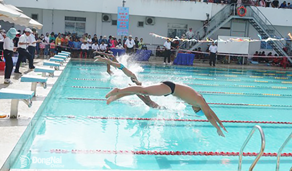 Các VĐV tham gia thi đấu nội dung bơi