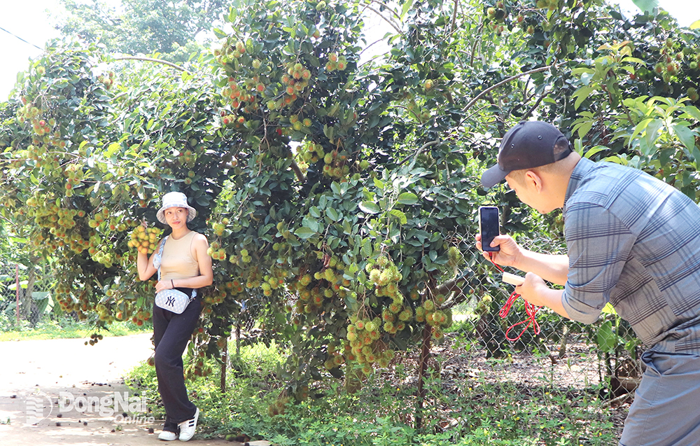 Đồng Nai phát triển mạnh du lịch vườn