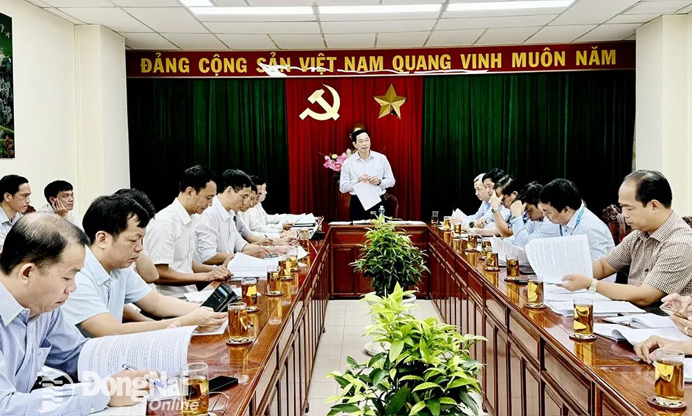 Phó chủ tịch UBND tỉnh Võ Văn Phi chủ trì buổi làm việc. Ảnh: B.Nguyên