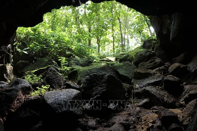 The entrance of the volcanic cave systems in Dong Nai (Photo: VNA)
