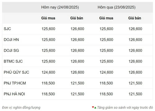 Thống kê giá vàng của Công ty cổ phần Dịch vụ trực tuyến Rồng Việt VDOS - Cập nhật lúc 13 giờ ngày 24-8.