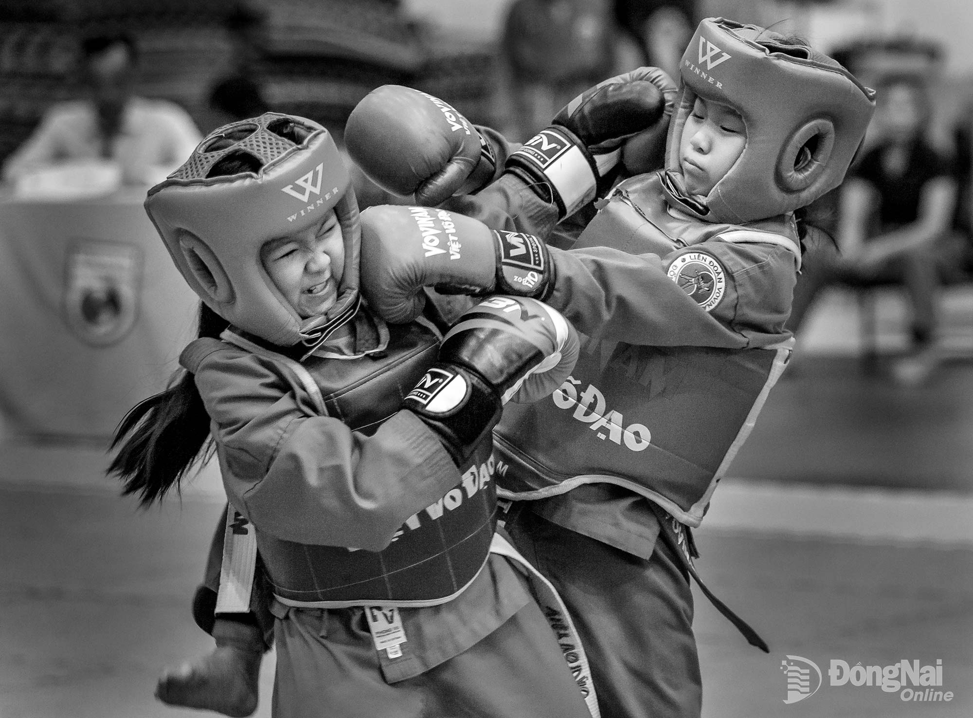 Ra đòn. Ảnh: Trịnh Lê Hòa