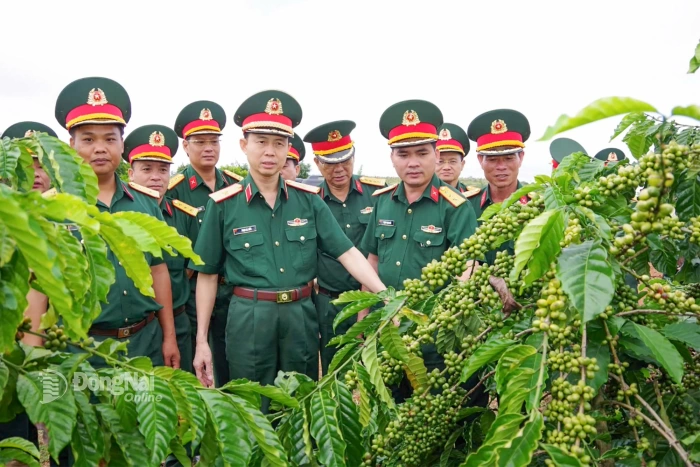 Army Corps 16: From imprints of a term to future vision