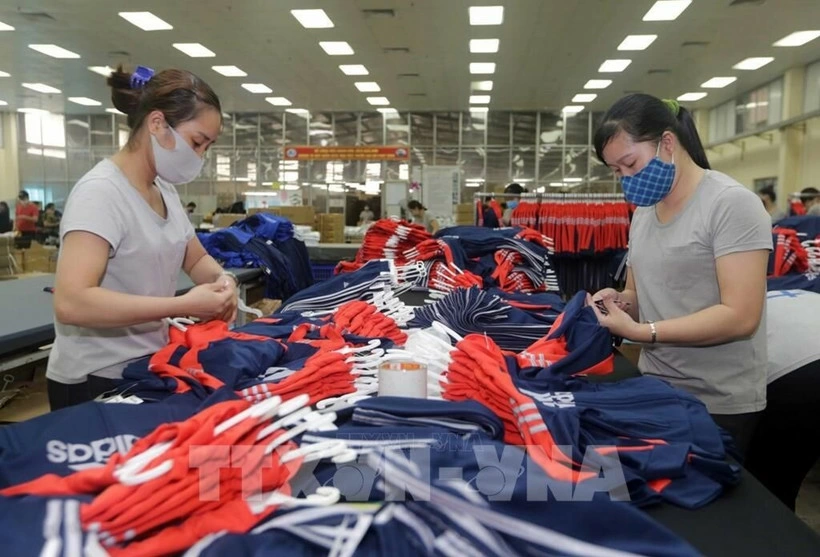 In the first seven months of 2025, Vietnams exports reach 262.44 billion USD, up 14.8% year-on-year (Photo: VNA)
