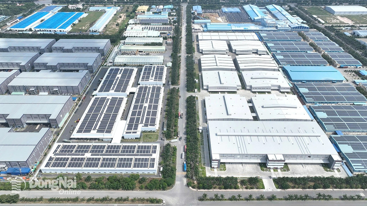 Rooftop solar power system invested by KTG Industrial in Dong Nai. Photo: Provided by the unit