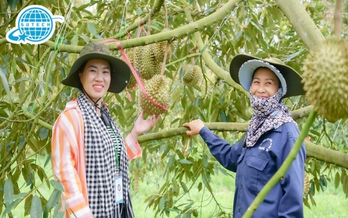 Đăng ký mã số vùng trồng phục vụ xuất khẩu nhanh chóng, hiệu quả