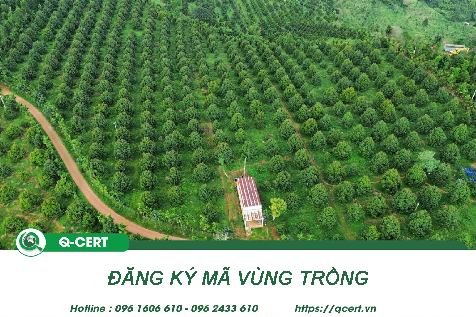 Dịch vụ đăng ký mã vùng trồng của Q-CERT.