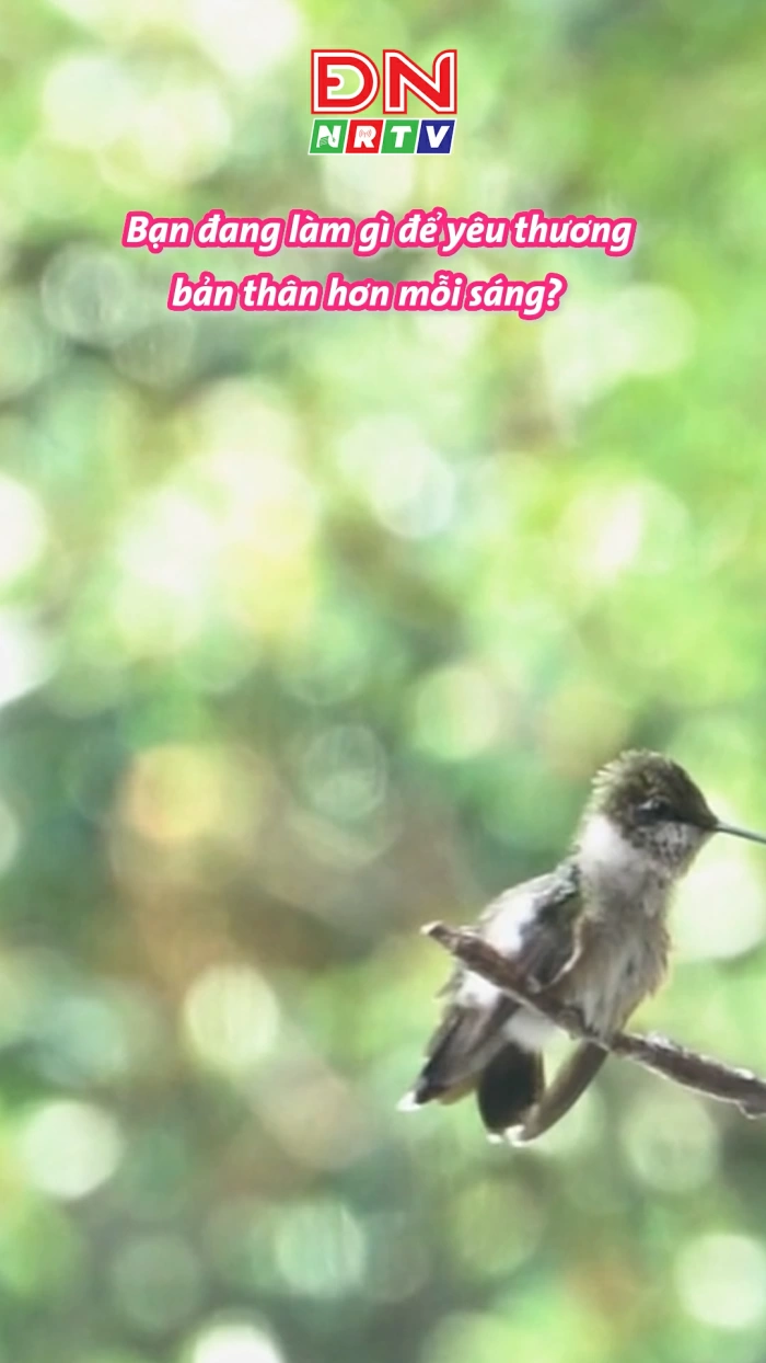 Bạn đang làm gì để yêu thương bản thân hơn mỗi sáng?